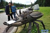 8月29日，在俄罗斯叶卡捷琳堡市中央公园举行的第三届叶卡捷琳堡国际“洛姆”雕塑艺术节上，观众驻足欣赏。“洛姆”在俄语中意指废金属。经过俄罗斯及其他国家艺术家们的精心创作，原本黯淡无光的金属垃圾成为令人眼花缭乱的雕塑作品。艺术家们的创造意在呼吁人们清理工业金属废料，保护城市人居环境。本次艺术节将持续到8月31日。新华社发（安东 摄）图片来源：新华网