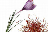 6、番红花(Crocus sativus)的雄蕊是世界上最贵的调味品，它具有神奇的功效，人们一般用手工的方法采集番红花的雄蕊，然后将其晾干，22.5万根的雄蕊晾干后只有 500克。做一盘昂贵菜肴最多放6根番红花雄蕊，就可以产生极强的香味。但是用万寿菊的花蕊伪造出来的番红花雄蕊即使在菜肴里放很多，也不会散发出诱人的 香气。一公斤番红雄蕊的价格高达6000美元。