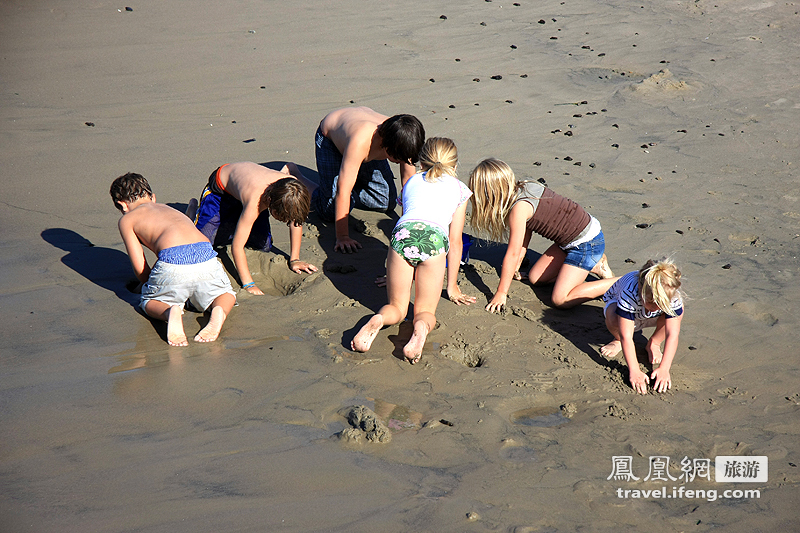 自驾美国海岸 观慵懒海豹与惬意美女