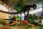 召唤恐龙之旅 体验神州恐龙博物馆的惟妙惟肖