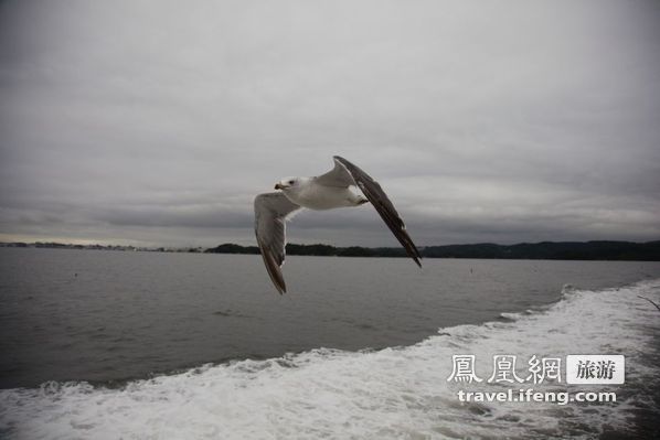 日本松岛游轮出海 海鸥相伴