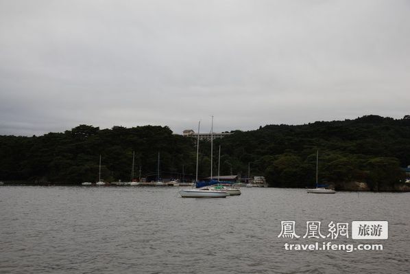 日本松岛游轮出海 海鸥相伴