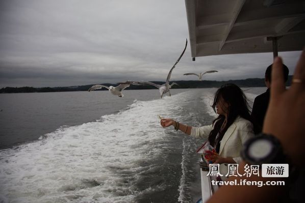 日本松岛游轮出海 海鸥相伴