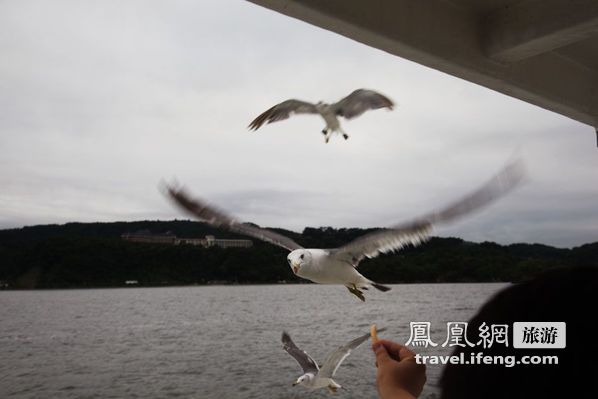 日本松岛游轮出海 海鸥相伴