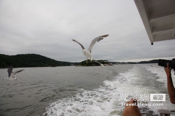 日本松岛游轮出海 海鸥相伴