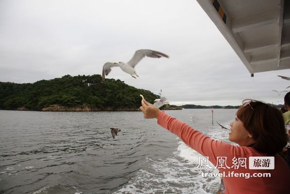 日本松岛游轮出海 海鸥相伴