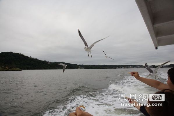 日本松岛游轮出海 海鸥相伴