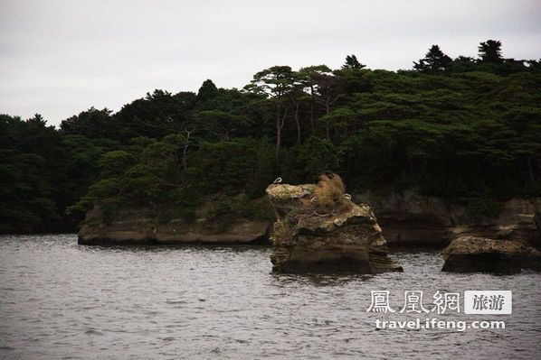 日本松岛游轮出海 海鸥相伴