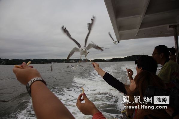 日本松岛游轮出海 海鸥相伴