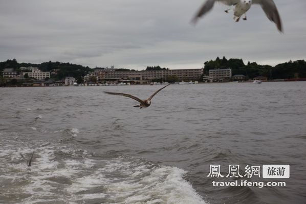 日本松岛游轮出海 海鸥相伴