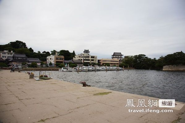 日本松岛游轮出海 海鸥相伴