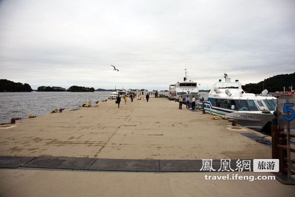 日本松岛游轮出海 海鸥相伴