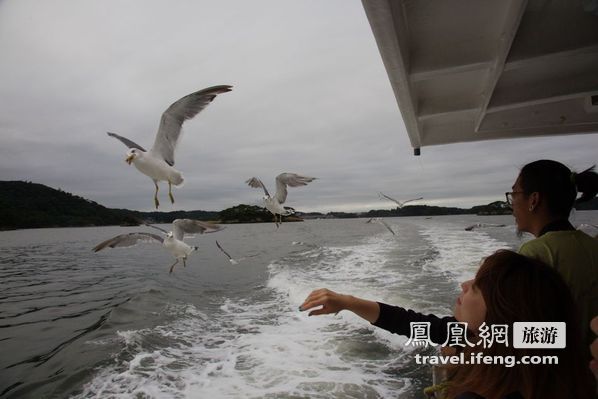 日本松岛游轮出海 海鸥相伴