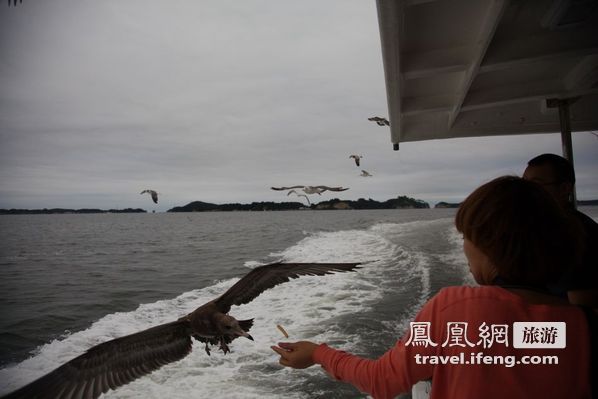 日本松岛游轮出海 海鸥相伴