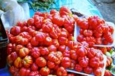 墨西哥的农贸市场上贩卖了很多没有见过的美食。异形西红柿。（来源：卢卢相片生活的博客）