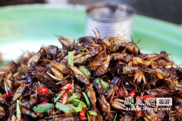 柬埔寨特色美食油炸蚂蚱 你敢吃吗