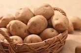  五、发芽的土豆 　　发芽土豆(马铃薯)的嫩芽和变成绿色的皮中龙葵碱含量很高，食用易中毒。因此，发芽和表皮发绿的马铃薯不宜食用。 
