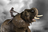 仿动物身体彩绘，模特与与一只12英尺长的巨蟒躺在一起，与猎豹一起或者骑在13英尺高的大象背上。著名摄影师Lennette Newell的“反人类”系列画作，用惊人丰富的色彩把人类和野生动物区分开来。
