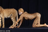 仿动物身体彩绘，模特与与一只12英尺长的巨蟒躺在一起，与猎豹一起或者骑在13英尺高的大象背上。著名摄影师Lennette Newell的“反人类”系列画作，用惊人丰富的色彩把人类和野生动物区分开来。