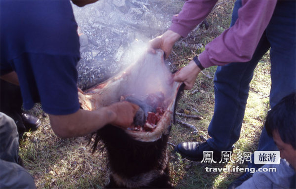 全球最惊悚的20大美食