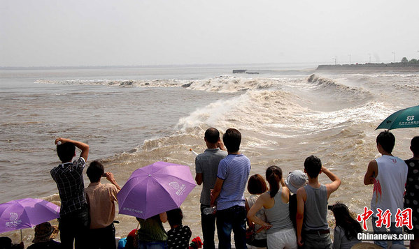 浙江海宁老盐仓回头潮