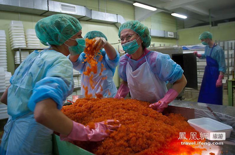 实拍俄罗斯鱼子酱加工厂