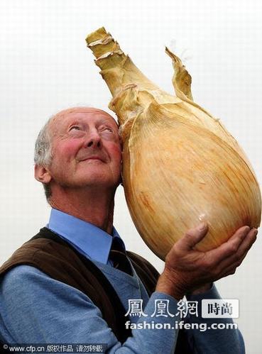 英国16.3斤重巨型洋葱 破世界纪录