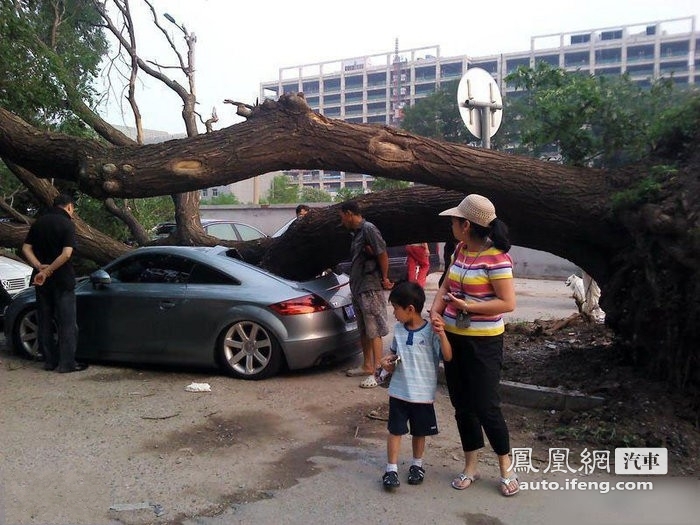 大树断根砸毁奥迪超跑