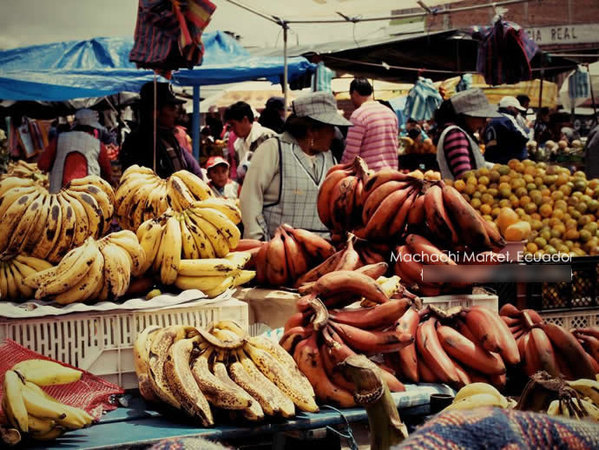 厄瓜多尔农贸市场猎奇 香蕉王国最霸气