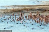 1200名以色列男女一丝不挂聚集死海边，摆出各种姿势，供著名裸照摄影师杜尼克(Spencer Tunick)拍照。这次壮举是为打响死海的名号，让这个世界最低的咸水湖(低于海平面400米)代表以色列，在11月的“全球七大奇观”网络投票中冲高人气，挤上金榜。
