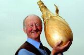 英国哈罗盖特，Peter Glazebrook举着他的巨型洋葱。这个巨型洋葱重8.15千克，成功打破吉尼斯纪录。