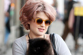 凯莉·奥斯本(Kelly Osbourne)


Kelly的灰色针织长衫搭配黑色亮片包包十分有层次感。橘色框框的眼镜与粉色短发充满前卫摩登气息。怀里的黑色蓬蓬毛的小狗狗睁大的眼神让它看起来精神无比，很有明星气质。
