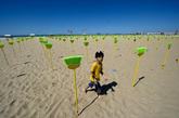 反腐败奇招，巴西沙滩插594把扫帚，这片海滩显得格外耀眼。