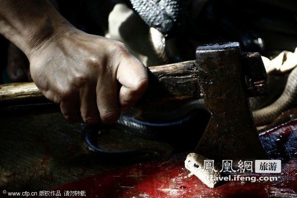 血腥杀蛇 探秘中国第一蛇村