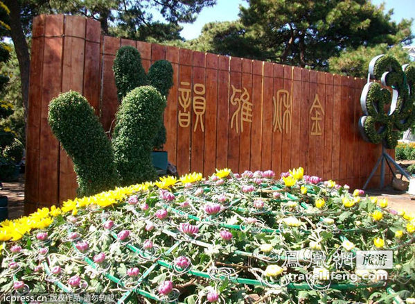 秋色雅韵来赏花 北京植物园花展即将开展