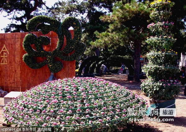 秋色雅韵来赏花 北京植物园花展即将开展