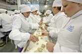 今天我们来看看“西伯利亚美食”工厂制作食品的幕后工序。从食材准备、制作、包装产品到运送到仓库等等所有的生产阶段，这里都会为您一一细化，通过每一张影像来真切感受美味食品的背后故事。