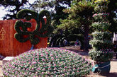 2011年9月21日，北京植物园第十九届市花展将在北京植物园隆重举办，花展主题为《秋色雅韵》。