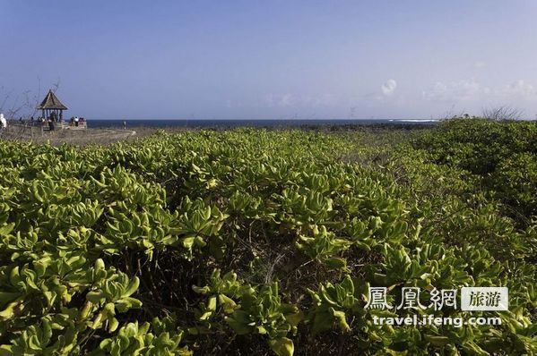 感知爆炸后的宁静 静观2011年巴厘岛之旅