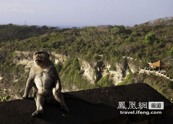 感知爆炸后的宁静 静观2011年巴厘岛之旅