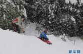 在奥地利西部蒂罗尔州首府因斯布鲁克以南20公里的一个村庄，一名儿童从白雪覆盖的山坡滑下。
