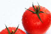 西红柿--前列腺的“保护伞” 　　有大量的研究证明，西红柿是预防和降低男性患前列腺疾病最好的食物，这是因为番茄中含有的番茄红素可以清除细胞的代谢产物，使肌体抗氧化能力增 强，从而促使前列腺癌细胞体积缩小，并抑制肿瘤细胞增殖转移。另外还有一些研究中表明经常吃西红柿还能改善精子浓度和活力，当然精子质量并不等同于 “壮阳”，并以此认为吃西红柿能“壮阳”。 