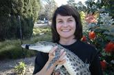 澳大利亚墨尔本附近的一条鳄鱼“斯内皮”日前变成了明亮的橙色。它的主人特蕾西·桑德斯卓姆对于自己衷爱的宠物从正常的颜色变成了橙色感到非常的惊讶。斯内皮过着非常奢侈的生活。它晚上在一个加热了的室内的池塘中度过，白天便到室外晒太阳。
