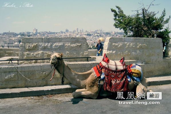 橄榄山看耶路撒冷全景 三教奉一城的圣地