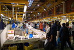 晨拍英国最大的海鲜市场