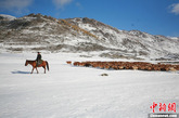 中新网喀纳斯9月27日电（周磊）新疆阿勒泰地区喀纳斯景区近日迎来了今年入秋后第一场大雪。27日清晨，喀纳斯景区内已是银装素裹，一派冰雪风光，为摄影家和游客们带来秋季的惊喜。
据喀纳斯景区牧民努尔兰介绍，喀纳斯景区以往都是在进入10月开始降雪，而牧民们都在10月15日进入冬窝子，今年的提前降雪，牧民们纷纷加快转场步伐，将于近日进入冬窝子。