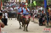9月27日，在亡人节期间，位于柬埔寨首都金边东北50多公里的干丹省克萨干丹县维赫索乡，选手们参加骑水牛大赛。这个地方的骑水牛大赛历史悠久，传说很久以前，有一段时间这一带的耕牛经常莫名其妙死去，严重影响了当地民众的生产。村民们乞求神灵保佑他们的牛，并许诺在每年“亡人节”的最后一天举行水牛赛，以示感恩。