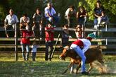 葡萄牙举办女子斗牛，场面激烈让人揪心，可以说是步步惊心。