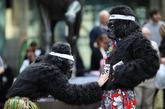 英国伦敦，数百民众身穿大猩猩的服装，筹集善款，参加慈善赛跑。这项一年一度的“大猩猩赛跑”活动旨在保护中部非洲雨林的濒危物种。