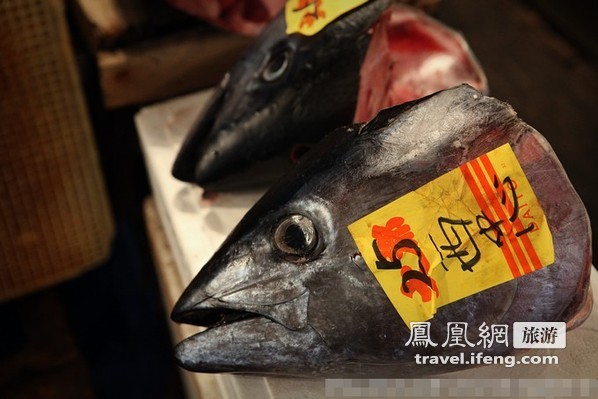 世界最大鱼类海产品市场 日本好鱼绝不虚